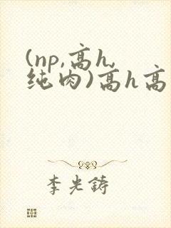 (np,高h,纯肉)高h高辣