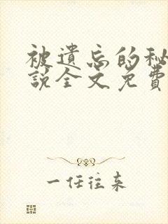 被遗忘的秘密小说全文免费阅读