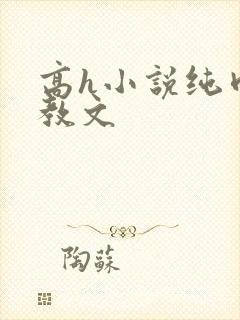 高h小说纯肉调教文