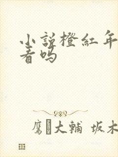 小说橙红年代好看吗