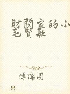 财阀家的小儿子毛贤敏