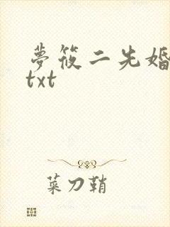 梦筱二先婚后爱txt