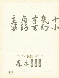 主角有几十个老婆的玄幻小说