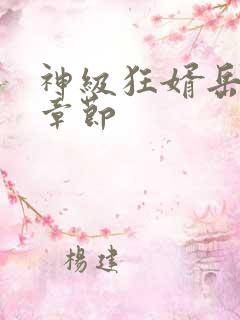 神级狂婿岳最新章节