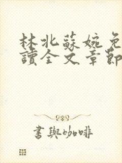 林北苏婉免费阅读全文章节