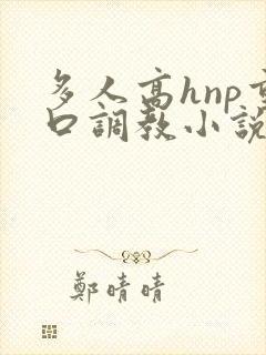 多人高hnp重口调教小说