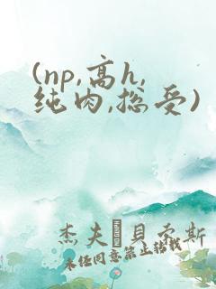 (np,高h,纯肉,总受)