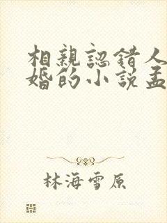 相亲认错人后闪婚的小说孟微