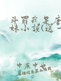 斗罗我是唐三妹妹小说(送一颗小星星)