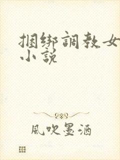 捆绑调教女警的小说