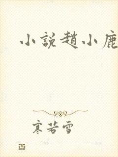 小说赵小鹿李叔