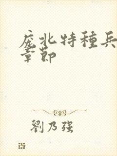 庞北特种兵最新章节