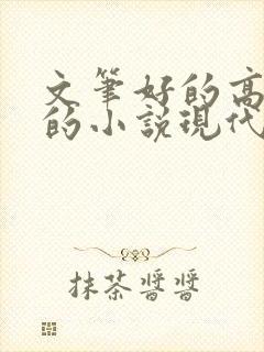 文笔好的高质量的小说现代言情推荐