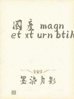 国产 magnet xt urn btih