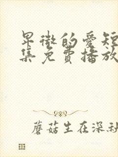 卑微的爱短剧全集免费播放