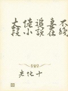 大佬追妻不择手段小说在线阅读