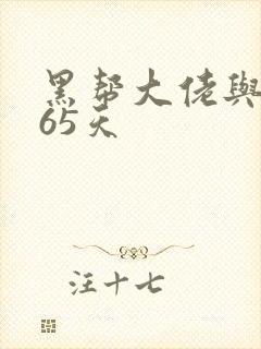 黑帮大佬与我365天