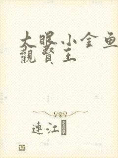 大眼小金鱼 贞观贤王