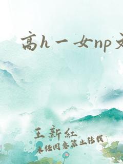 高h一女np文