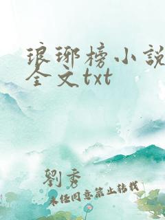 琅琊榜小说原著全文txt