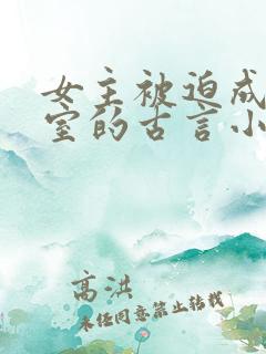 女主被迫成为妾室的古言小说