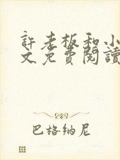 许老板和小玫全文免费阅读