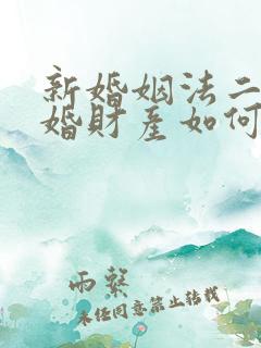 新婚姻法二婚离婚财产如何分割