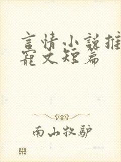 言情小说推荐甜宠文短篇