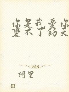 你是我爱你时改变不了的天真歌名