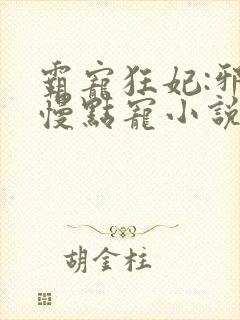 霸宠狂妃:邪王慢点宠小说