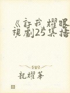 《许我耀眼》电视剧25集播放视频