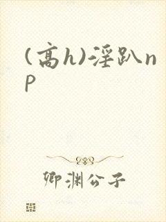 (高h)淫趴np