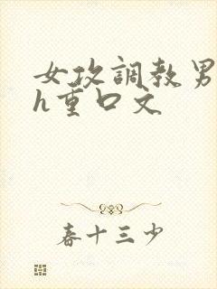 女攻调教男受高h重口文