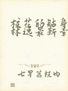 校花的贴身高手林逸最新章节下载