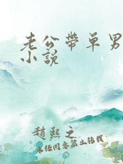 老公带单男爱我小说