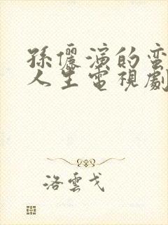 孙俪演的蛮好的人生电视剧免费观看