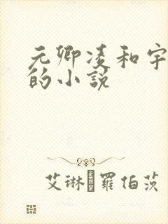 元卿凌和宇文皓的小说