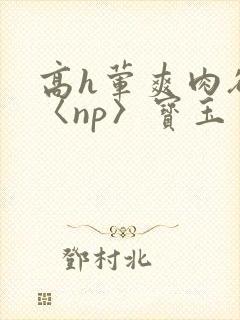 高h荤爽肉欲文〈np〉宝玉