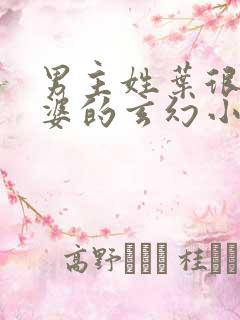 男主姓叶很多老婆的玄幻小说