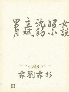 男主沈昭女主周月娥的小说