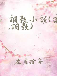 调教小说(高h,调教)