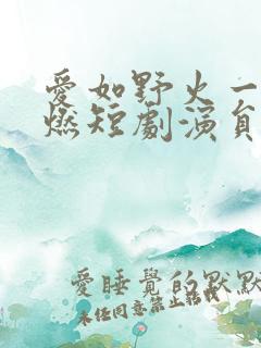 爱如野火一触即燃短剧演员表