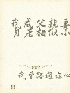 我成父亲妻子的月老相似小说