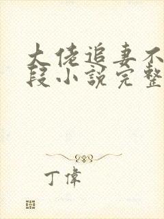 大佬追妻不择手段小说完整版大结局