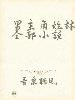 男主角姓林辰的全部小说