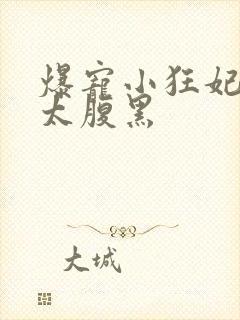 爆宠小狂妃皇叔太腹黑