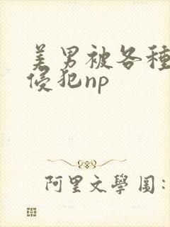 美男被各种姿势侵犯np