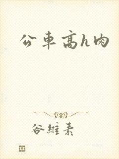 公车高h肉