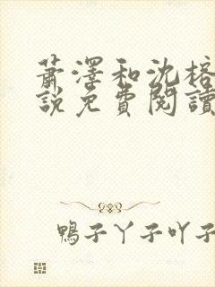 萧泽和沈榕宁小说免费阅读