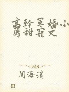 高干军婚小说推荐甜宠文